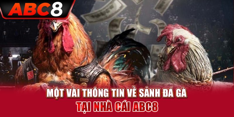 Giới thiệu sảnh đá gà abc8